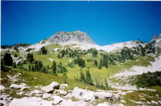 Trail crosses the Alpine towards the peaks, Tricouni Meadows 2001-09.
